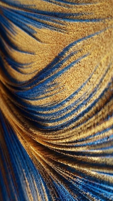 Blue And Gold, Feathers, Close Up, Gold, Blue