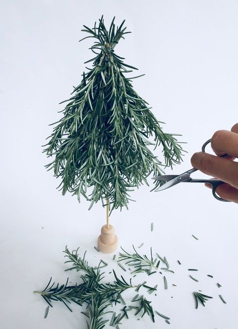 DIY Rosemary Tree - Mamma Mode Christmas Twigs Branches, Diy Twig Tree, Botanical Christmas Decor, Rosemary Christmas Tree, Christmas Botanicals, Rosemary Tree, Christmas Decorations Australian, Christmas Booth, Christmas Greens