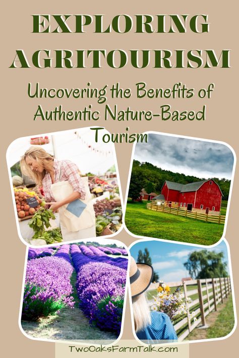 Agrotourism Ideas Farms, Agritourism Ideas Farms, Agribusiness Ideas, Farm Playground, Agritourism Farms, Farm Tourism, Veggies Garden, Nature Benefits, Sustainable Farm