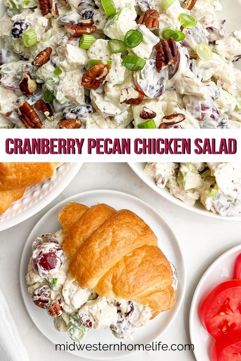 Cranberry Pecan Chicken Salad is the best chicken salad ever. Loaded with tender chicken, juicy grapes, dried cranberries, sweet apples, toasted pecans, and green onions in a flavorful dressing, it's delicious on croissants, a bed of lettuce, or crackers. Classy Recipes, Cranberry Pecan Chicken Salad, The Best Chicken Salad, Best Chicken Salad, Cranberry Chicken Salad, Chicken Salad With Grapes, Chicken Salad Ingredients, Chicken Salad With Apples, Pecan Chicken Salads