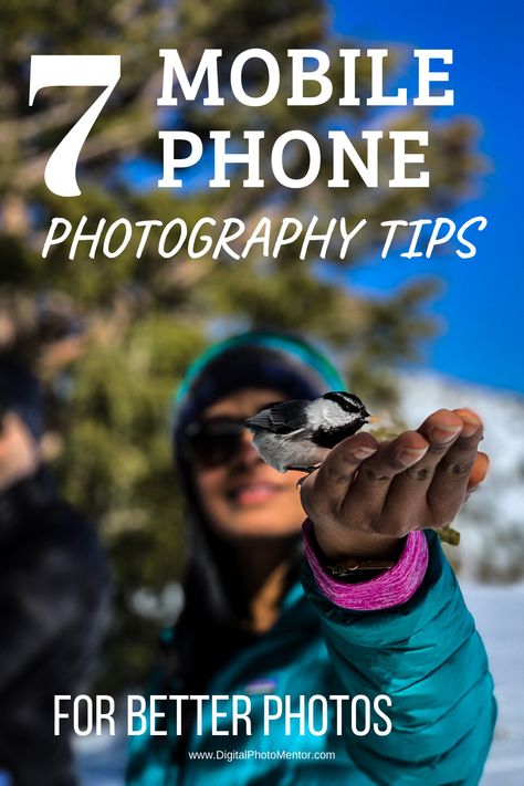 Better Photos With Android, How To Take Good Photos On Iphone, Taking Pictures With Iphone, How To Take Good Pictures With Iphone, Taking Photos With Iphone, Belize Trip, Teaching Yearbook, Mobile Phone Photography, Mobile Photography Tips