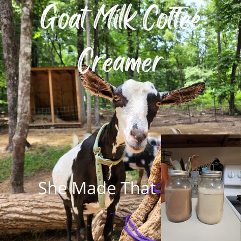 Powdered Goat Milk Recipes, Goat Milk Recipes Food, Goat Milk Coffee Creamer, Raw Goat Milk, Goats Milk, Goat Milking Parlor, Breeding Goats, Diy Coffee Creamer, Creamer Container