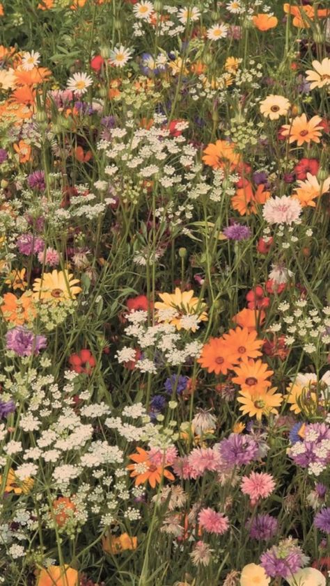 Avery Core, Collage Mural, Nothing But Flowers, Flower Therapy, Spring Aesthetic, Nature Aesthetic, Flower Field, Green Aesthetic, Aesthetic Backgrounds