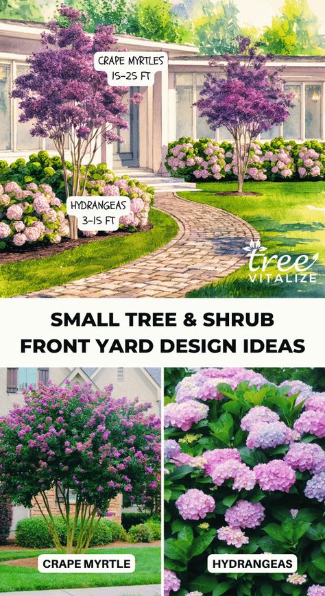 Easy Bushes For Front Of House, Landscape Under Window Front Yards, Landscaping Colonial Front Yard, Front Yard Landscaping Design Curb Appeal, Tree Landscaping Ideas Front Yard, Front Yard Tree Ideas, Big Garden Design, Front Yard Tree Landscaping, Bushes In Front Of House