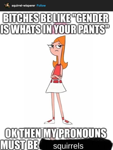 Candace Fanart, Phineas And Ferb Candace, Phineas And Ferb Memes, Coquette Kawaii, 4 Friends, Fandom Memes, Phineas And Ferb, Top Memes, Disney Memes