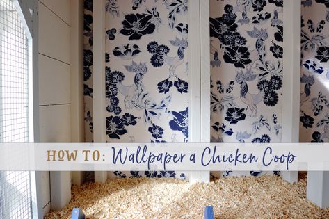 Inside Chicken Coop, Barnyard Dance, Chicken Coop Designs Diy, How To Wallpaper, Chicken Coop Pallets, Chicken Roost, Chicken Coop Decor, Henny Penny, Chicken Coup