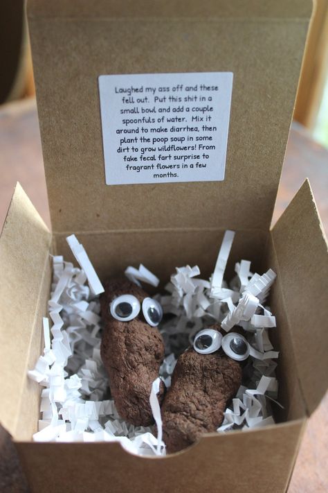 Funny Sht Inside Boxed Gag Gift Plantable Fake Dog Poop - Etsy Thoughtful Gifts Best Friend, Funny Money Gifts, Something Funny Gift Ideas, Gift Wrapping Pranks, Toilet Paper Gifts Funny, Diy Gag Gifts Funny, Prank Gifts For Christmas, Weird Crafts Diy, Diy Gag Gifts