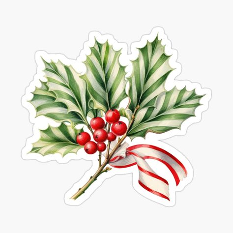 Get my art printed on awesome products. Support me at Redbubble #RBandME: https://www.redbubble.com/i/sticker/Christmas-Green-Holly-Branch-by-My-Magic-World/154586120.EJUG5?asc=u Bow Sticker, Transparent Wall, Holly Branch, Xmas Sticker, Sticker Christmas, Christmas Green, Planner Decorating, Unique Sticker, Christmas Gift Idea