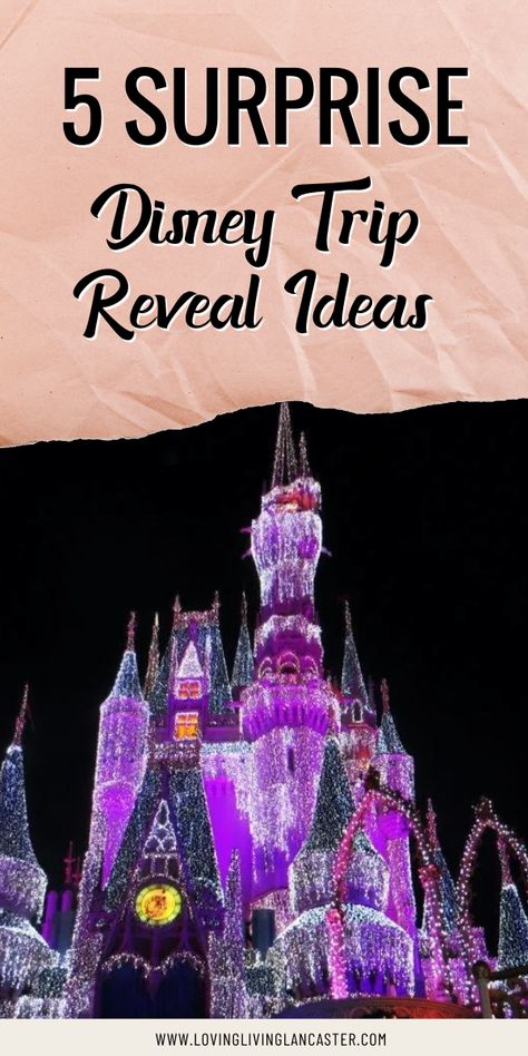 The upcoming Disney family vacation that you’ve been hiding from your children is bound to be a magical memory that they never forget. But if you’re struggling on finding a fun way to tell them about where they’re going, that’s alright. You’ve come to the right place. There are dozens of Disney trip reveal ideas that other parents have already done with their children that you can do too! Be sure to check out these 5 surprise Disney trip reveal ideas that will more than excite your kiddos. Disneyland Announcement Kids, Disneyland Reveal Ideas Kids, Disney Announcement To Kids, Disneyland Trip Reveal Ideas, Disney Reveal Ideas, Going To Disney Surprise, Disney Surprise Trip Reveal, Disney Surprise Box Ideas, Surprise Disney Trip Reveal