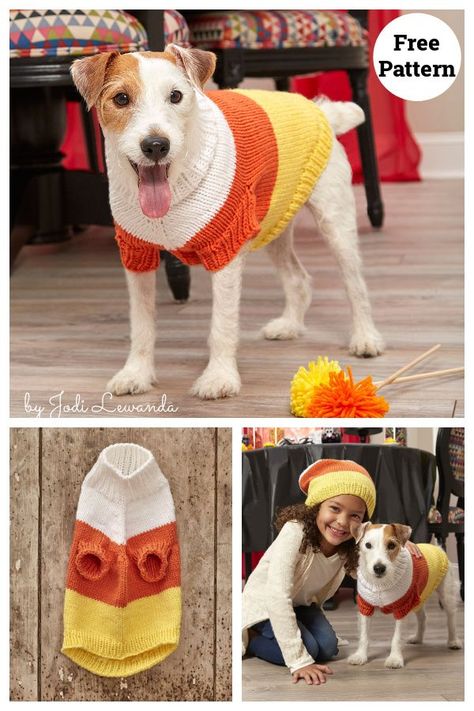 Candy Corn Dog Sweater Free Knitting Pattern Crochet Weiner Dog Sweater Free Pattern, Crochet Wiener Dog Sweater Free Pattern, Crochet Halloween Dog Sweater, Large Dog Knitted Sweater Pattern, Crochet Dinosaur Dog Sweater, Candy Corn Dog, Sweater Free Knitting Pattern, Dogs Clothes, Knitting Patterns Free Dog