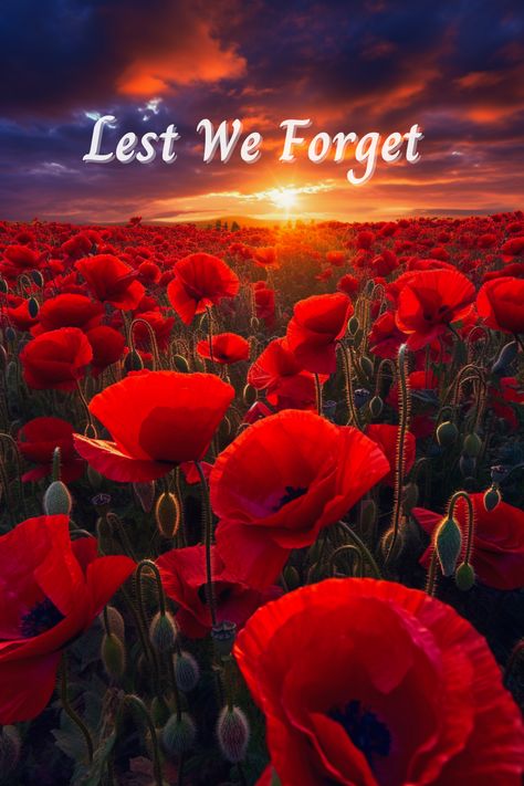 Lest We Forget | November 11 | Veterans Day Less We Forget Remembrance Day, November 11 Remembrance Day, Happy Veterans Day Images, Veterans Day Pictures, Remembrance Day Images, Remembrance Day Pictures, Lest We Forget Remembrance Day, Veterans Day Poppy, Happy Veterans Day Quotes