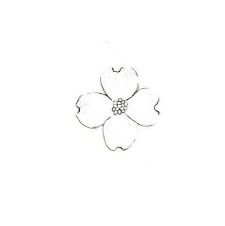 Simple Dogwood Flower Tattoo, Fine Line Dogwood Tattoo, Dogwood Wrist Tattoo, Dogwood Flower Drawing Simple, American Dogwood Tattoo, Small Dogwood Flower Tattoo, Flowering Dogwood Tattoo, Virginia Tattoo Ideas, Dogwood Flower Tattoo