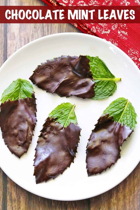 Chocolate Mint Leaves - Healthy Recipes Blog Chocolate Mint Leaves, Mint Leaves Recipe, Mint Recipes Fresh, Fresh Healthy Recipes, Easy Sweets, Dessert Simple, Mint Recipes, Herb Recipes, Chocolate Mint