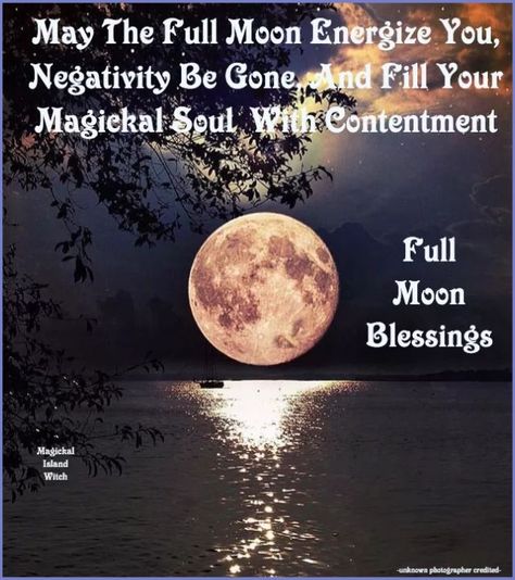 Full Moon Blessings, Full Moon Spells, Moon Activities, Sending Love And Light, Blessings Quotes, Angel Wings Art, Moon Spells, Witch Quotes, Moon Quotes