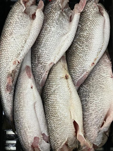 Lake Perch is a leading processor of #Nile #perch fish that deliver quality #fish products globally from #lake to our consumers. Call us at +256 706 443 985 today about your requirements.” For more Details visit us - http://www.lake-perch.com/ Perch Fish, Nile Perch, Perch Fishing, Aquatic Animals, Fresh Fish, Race Car, Lake, Fish, Range