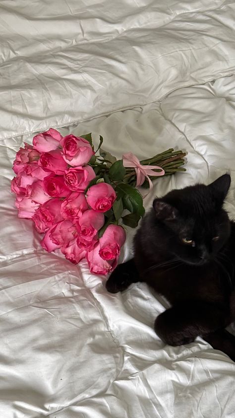 Cat With Rose, Black Cat Pink Aesthetic, Black Cat In Flowers, How To Clean Iphone, Flowers And Cats, Flowers And Cats Aesthetic, Donut Cat, Grid Wallpaper, Purple Flowers Wallpaper