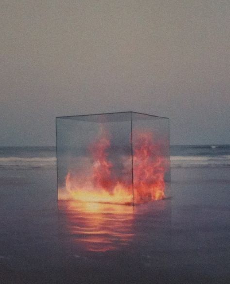 Illusion Kunst, Albrecht Durer, Glass Box, Wow Art, Sculpture Installation, Land Art, Pics Art, Coven, Public Art