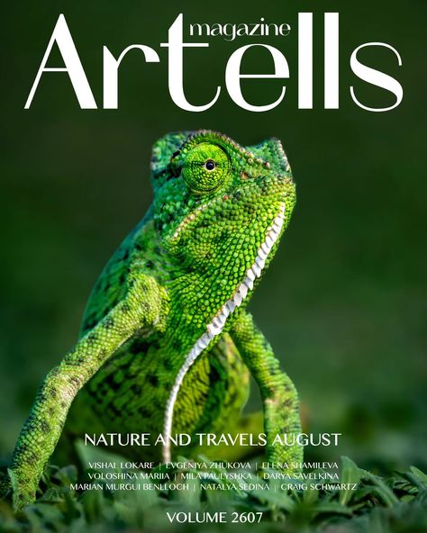 I'm thrilled and honored to share that I have been featured on the cover of @artells.magazine August issue, dedicated to Nature and Travel (Volume 2607). A heartfelt thank you to Artells for this golden opportunity to showcase my work on a global platform. #birdphotography #wildlifephotography #wildlife #birdsofinstagram #wildlifephotographer #nature #travel #outdoorphotography #birdlovers #birdwatching #naturephotography #explore #artist #artellsmagazine #featured #birdsonearth #vishals_wil... Wildlife Magazine Cover, Wildlife Magazine, Golden Opportunity, Birdwatching, Bird Photography, Outdoor Photography, Bird Lovers, Nature Travel, Bird Watching