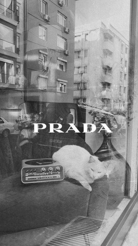 Prada Vintage Poster, Prada Wallpaper Iphone, Prada Logo Wallpaper, Prada Aesthetic Wallpaper, Prada Wallpapers, Prada Illustration, Prada Wallpaper, Prada Poster, Blackandwhite Wallpaper