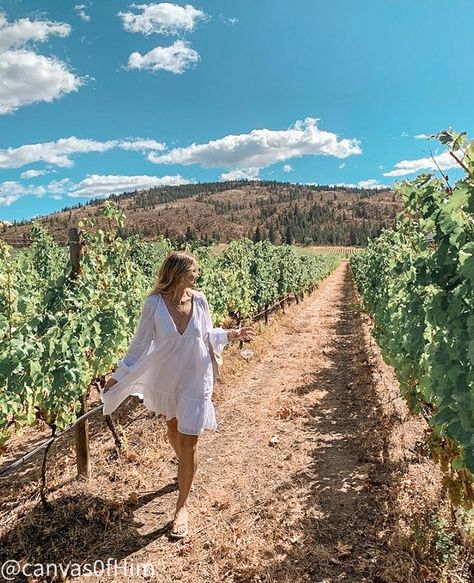 Winery Photo Ideas Instagram, Vineyard Photo Ideas, Italy Winery Outfit, Wine Tasting Photo Ideas, Winery Picture Ideas Instagram, Wine Tasting Photoshoot, Napa Valley Picture Ideas, Vineyard Instagram Pictures, Wine Farm Aesthetic