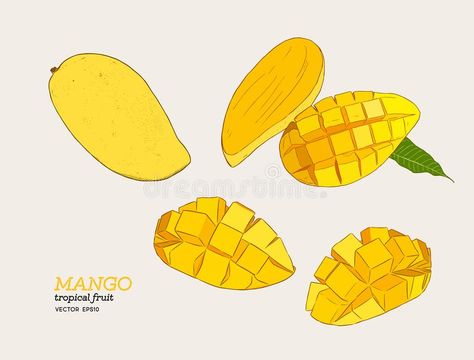 Mango Character Design, Mango Drawings, Fruits Sketch, Mango Drawing, Fruit Sketch, Summer Drawings, Fruits Drawing, Fruit Vector, Mango Fruit