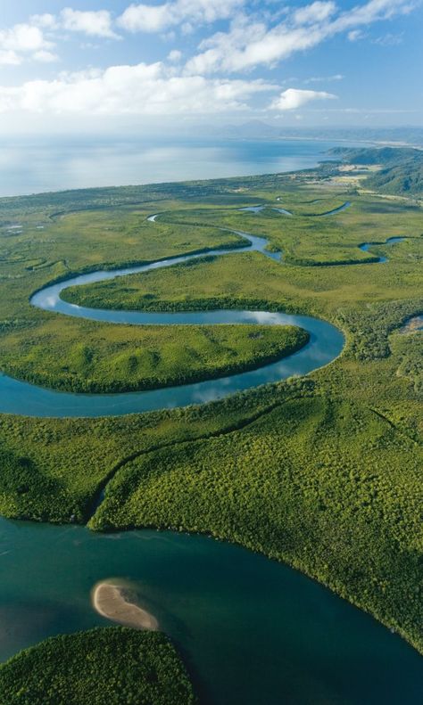 Daintree river, Queensland, Australia Daintree Rainforest, Australia Vacation, North Queensland, Queensland Australia, Cairns, Great Barrier Reef, Tasmania, Australia Travel, Western Australia