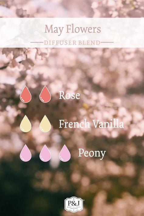 Candle Scent Combinations, Christmas Diffuser Blends, Spring Fragrances, Fragrance Oil Blends, Essential Oil Diffuser Blends Recipes, Diy Aromatherapy, Essential Oil Diffuser Recipes, Oil Diffuser Recipes, Vanilla Essential Oil