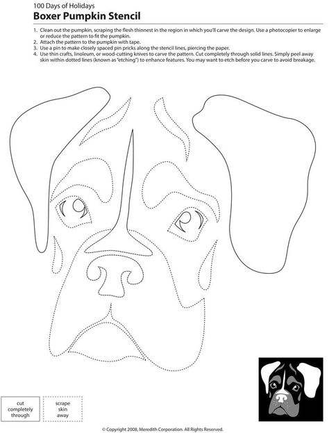 Downloadable Dog Breed Pumpkin Stencils | POPSUGAR Pets Dog Stencil Templates, Free Printable Sewing Patterns For Dogs, Dog Pumpkin Stencil, Dog Template Printable Free Pattern, Dog Head Outline, Coloring Pages Dogs Free Printable, Dog Stencil, Dog Pumpkin, Pumpkin Template