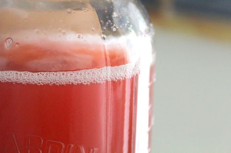 Crab Apple Syrup, Crab Apple Cider Recipe, Crab Apple Recipes Easy, Crab Apple Cider, Crabapple Recipes, Crab Apple Recipes, Cold Cider, Apple Salsa, Crab Apples