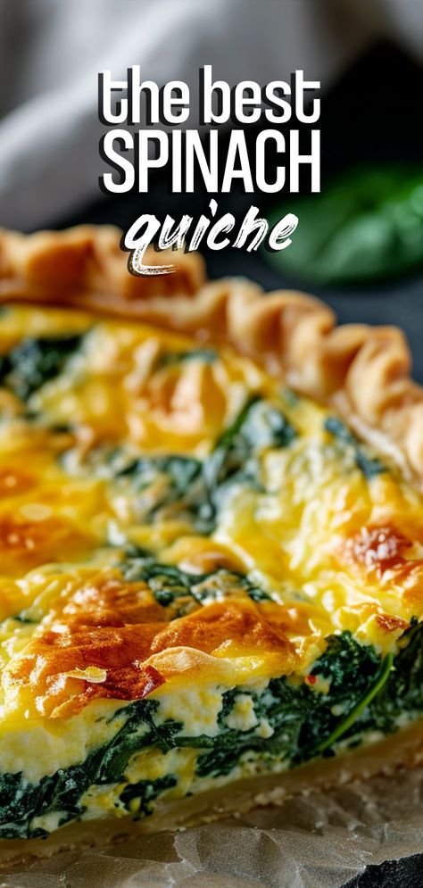 Spinach Quiche [60 Minutes] – Chasety Quiche Spinach And Cheese, Spinach Quiche Recipe, Spinach And Egg Quiche, Quiche Recipes Easy Spinach, Egg Spinach Quiche, Spinach Egg Quiche, Spinach Quiche Recipes Easy, Quiche Recipes Spinach, Spinach Cheese Quiche