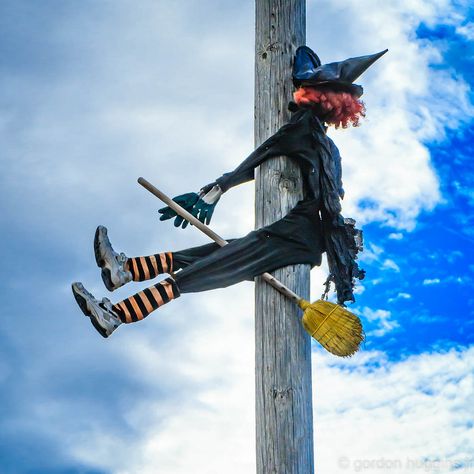 Scarecrows For Garden, Witch Flying, Halloween Outside, Halloween Sewing, Halloween Scarecrow, Witch Diy, Adornos Halloween, Flying Witch, Diy Halloween Costumes Easy