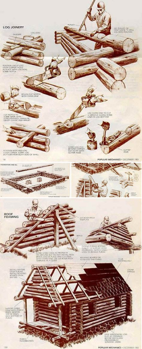 Man skills: How to build a log cabin Build A Log Cabin Diy, Building A Log Cabin Diy, How To Build Log Cabin, Log Cabin Architecture, Log Cabin Homestead, Diy Log Cabin Plans, Log Cabin Construction, Log Cabin Build, Log Building Ideas