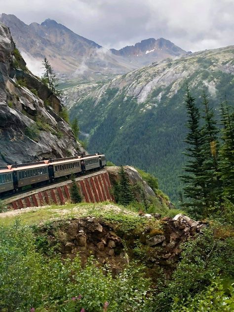 Alaska Disney Cruise, Alaska Cruise Aesthetic, Alaska Aesthetic Summer, Alaskan Honeymoon, Disney Alaska Cruise, Alaska Honeymoon, Summer In Alaska, Alaskan Summer, Alaska Aesthetic