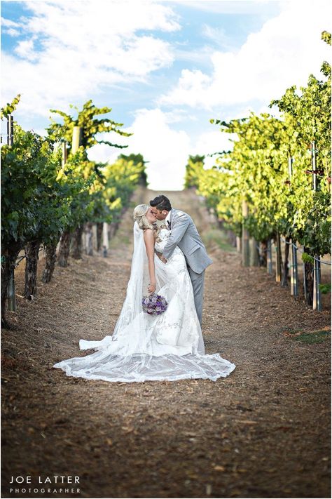 Wedding at Wilson Creek Winery in Temecula Valley in California's wine country Barolo Wine, Temecula Wineries, Virginia Wineries, Wine Country Wedding, Wine Country California, Country Weddings, Wedding Couple Poses, California Wine, Buy Wine