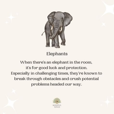 What Does An Elephant Symbolize, Elephant Meaning Quotes, Meaning Of Elephants, Elephant Love Quotes, Elephant Spiritual Meaning, Elephant In The Room Quotes, Elephant Quotes Inspirational, Elephant Poem, Elephant Goddess