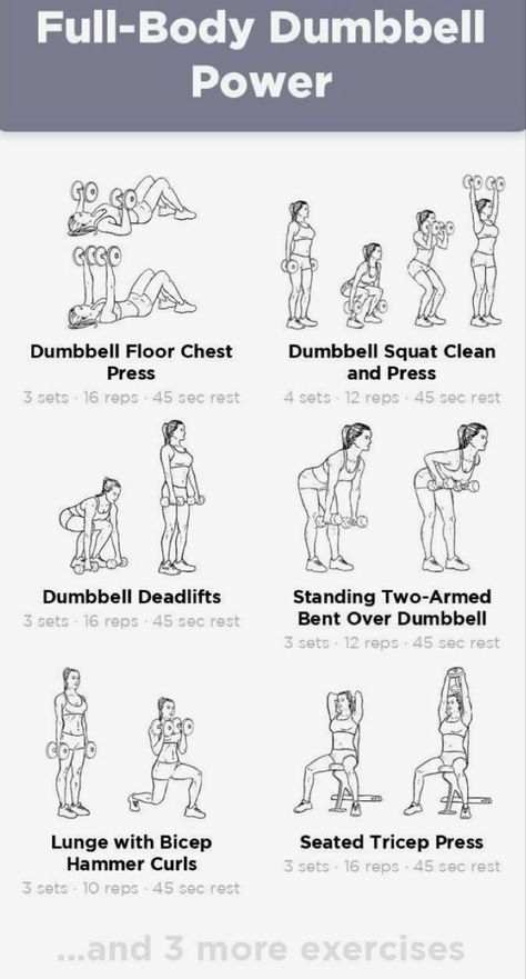 Dumbbell Fat Burning Workout, Full Body Pump Workout, Full Body Workout Weights Women, Easy Gym Routine For Women, Home Workout With Weights For Women, Barbell And Dumbbell Workout, Women Dumbbell Workout, Dum Bell Workout For Women, Basic Weight Training For Women