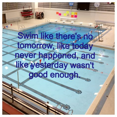 Perfect for me. Swim Team Quotes, Swimming Motivational Quotes, Swimmer Memes, Swimmer Quotes, Swimming Jokes, Swimmer Girl Problems, Swimming Funny, Swimming Motivation, Swimming Memes