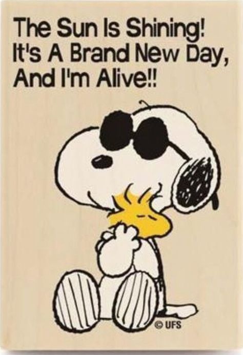 RELEASING SELF SABOTAGE ONCE & FOR ALL BY EMMANUEL DAGHER - LIGHTGRID - Lichtnetz - REDDELUZ A Brand New Day, Sweet Sayings, Snoopy Comics, Lucy Van Pelt, Happy Wednesday Quotes, Wednesday Quotes, Peanuts Cartoon, Peanuts Characters, Snoopy Quotes