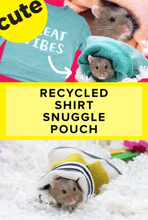 Turn An Old Shirt Into A DIY Snuggle Pouch Diy Rodent Toys, Rat Care, Guinea Pig Diy, Pet Diy, Diy Dog Toys, Pouch Diy, Dolls Diy, N Shoes, Leopard Gecko