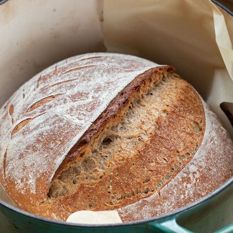 This sprouted wheat bread really showcases the rich and naturally sweet flavour of sprouted wheat flour. Whole grain bread tends to be dense, but sprouted wheat flour results in a fluffy, moist texture. Sprouting also reduces bitterness (saponin) and converts complex carbs into simpler sugars. This results in a lighter, sweeter taste with a low glycemic index. Our sprouted wheat flour is freshly sprouted and finely stone ground from organic Canadian wheat. Sprouted Whole Wheat Bread, Sprouted Wheat Bread Recipe, Sprouted Grain Bread Recipe, Sour Dough Bread Starter Recipe, Sprouted Wheat Bread, Spring Foods, Sprouted Wheat, Cranberry Bread Recipes, Sprouted Grain Bread