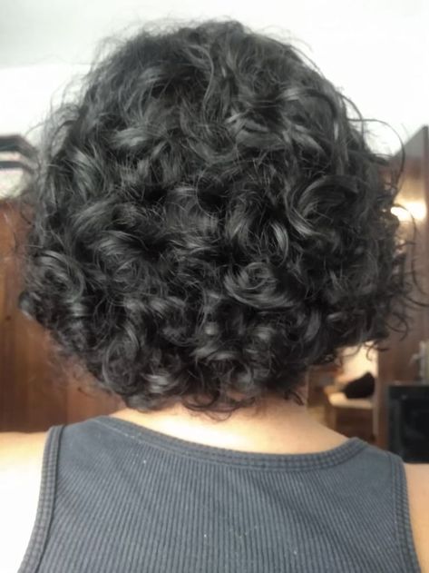 Fluffy Curly Hair, Curly Hair Photos, Hair Inspiration Short, Short Curly Haircuts, Haircuts For Curly Hair, Black Curly Hair, Curly Hair Inspiration, Haircut And Color, Penteado Cabelo Curto