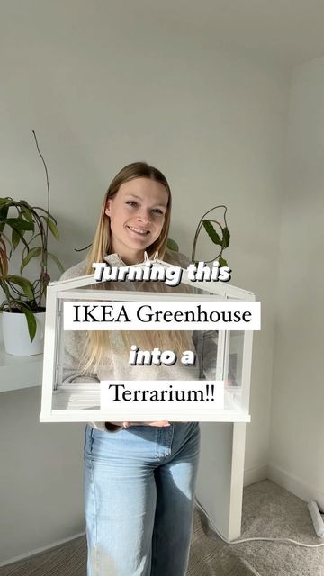 Terrarium Wall Ideas, Greenhouse Terrarium Ideas, Ikea Greenhouse Ideas, Ikea Plants Ideas, Ikea Terrarium Ideas, Ikea Greenhouse Hack, How To Build A Terrarium, Indoor Terrarium Ideas, Indoor Plant Setup