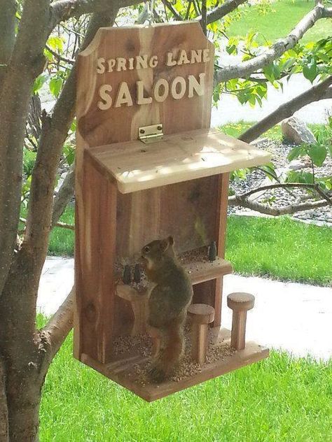 Squirrel Saloon Nut Bar Squirrel Feeder Diy, Kids Woodworking Projects, Squirrel Feeders, Squirrel Feeder, Carpentry Projects, A Squirrel, Have Inspiration, Garden Items, Wooden Bird