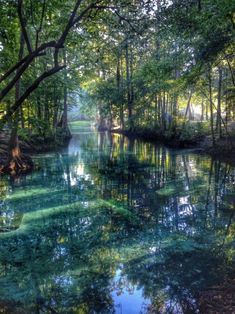 Widget 🫣 on Pinterest 숲 사진, Pretty Landscapes, Alam Yang Indah, Nature Aesthetic, Pretty Places, Green Aesthetic, Fantasy Landscape, Nature Photos, Mother Earth