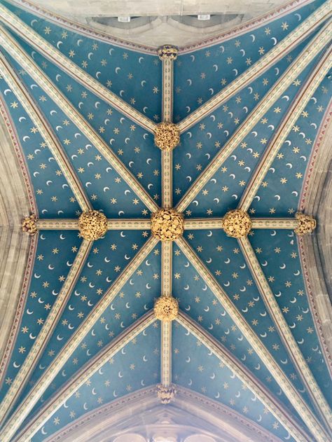 Pretty Ceilings, Starry Ceiling, Exeter Cathedral, Beam Ceiling, Interior Design History, Durham Cathedral, Exeter Devon, Blue Ceilings, Devon Uk