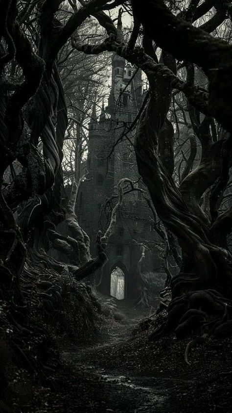 Gothic Forest Aesthetic, Gothic Asthetic Wallpers, Brothel Aesthetic, Gothic Forest, Spooky Forest, Dark Forest Aesthetic, Dark Castle, Castle Aesthetic, Gothic Wallpaper