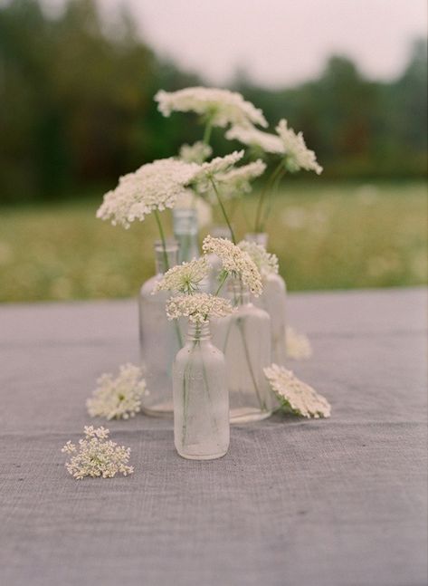 Lace Bouquet, Queen Annes Lace, Deco Floral, Vow Renewal, Wedding Deco, Lace Flowers, Queen Anne, Life Photography, House Party