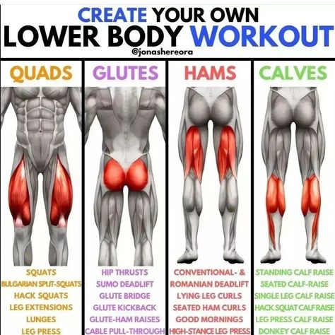 Your Own workout for leg muscles Leg Muscles Anatomy, Body Muscle Anatomy, Lying Leg Curls, Leg Anatomy, Quad Muscles, Leg Workout At Home, Gym Antrenmanları, Leg Training, Leg Day Workouts