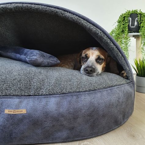 Excited to share the latest addition to my #etsy shop: Luxury, Anti-Allergenic, Merino Wool Dog Cave Bed https://etsy.me/3Amr1pd Dog Cave Bed, Cozy Cave Dog Bed, Cave Dog Bed, Personalized Dog Beds, Dog Cave, Cave Bed, Miniature Bull Terrier, Mini Pinscher, Hooded Dog Bed