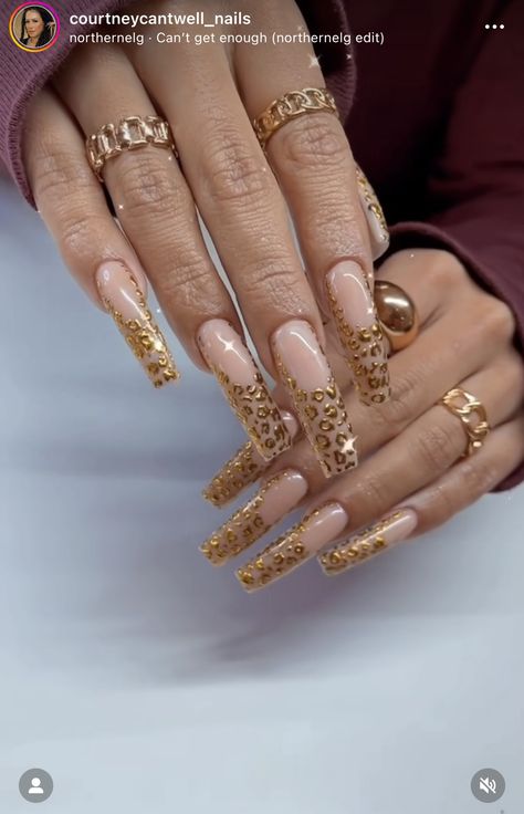 Stylish Nails Coffin, Snake Skin Nails Designs, Long Summer Nails, Snake Skin Nails, Retro Nails, Skin Nails, Pink Acrylic Nails, Square Acrylic Nails, Fire Nails